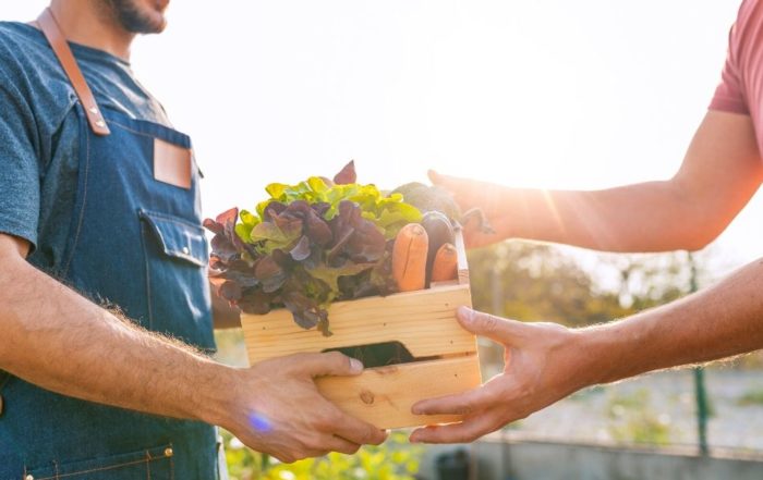 Jeudis et Mardis du Terroir