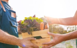 Retour des marchés de terroir