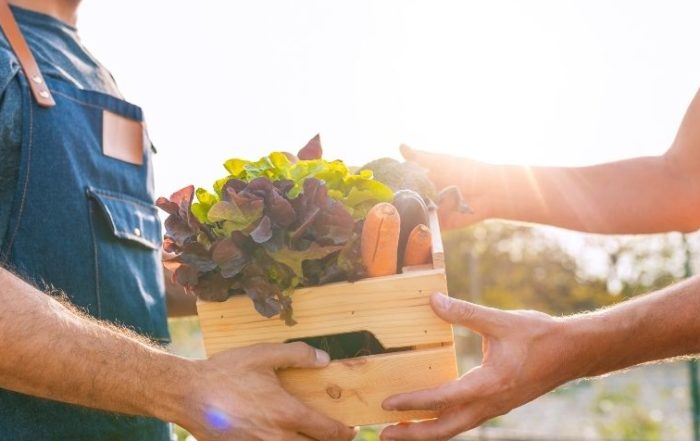 Retour des marchés de terroir