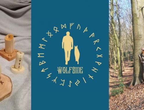 David Fragapane lance «WolfSide», une entreprise atypique au service de l’âme et de la nature